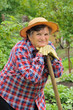 Senior woman gardening