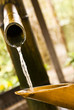 Foto: Bambus und Wasser Bambus und Wasser