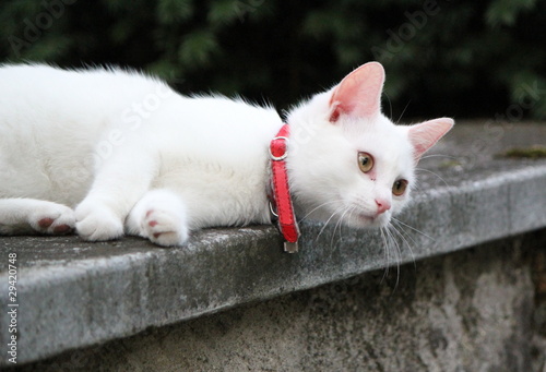 photo par Elenaphotos21