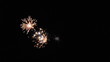 Fireworks exploding in the night sky