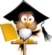 Gufo Professore Cartoon-Owl Teacher Cartoon-Vector