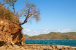 Costa Rica Landscape