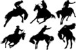 black rodeo