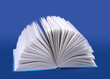 wide-open book wide-open book