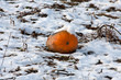 Winterlicher Kürbis