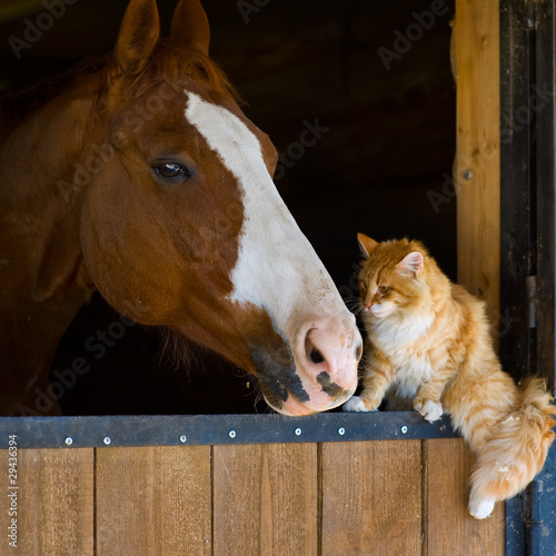 Photo: Ginger and bay Ginger and bay