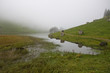 Foto: Seealpsee Seealpsee
