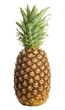 Foto: pineapple isolated on white background pineapple isolated on white background