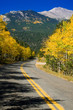 Autumn Rural Mountain Road