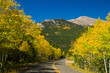 Colorado Fall Country Road