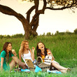 girlfriends on picnic