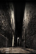 rue