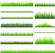 grass illustration