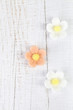three sugar blossom flowers on white old table three sugar blossom flowers on white old table