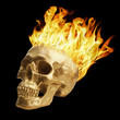 Photo: Blazing Skull Blazing Skull