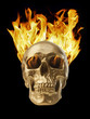 Photo: Blazing Skull Blazing Skull