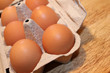 6 pack - eggs