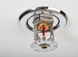 Close up image of fire sprinkler on white.
