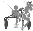 Trot attelé