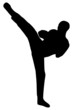 Boxe française