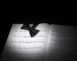 Spot light on music stand