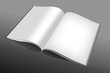 Vektor: libro aperto vettoriale libro aperto vettoriale