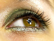 Daily make up