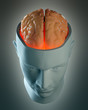 Male head abstract with a visible brain