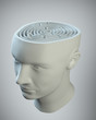 Male head with a labyrinth inside