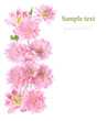 Floral border with pink Dahlia Floral border with pink Dahlia