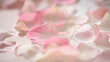 floating roses floating roses