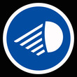 obligatorio luces