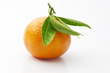 mandarin