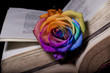 Rosa y libros antiguos