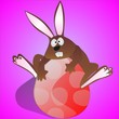Rabbit eggs