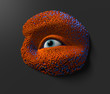 Biomechanik Auge 01