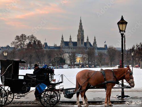 Photo: wien abenstimmung, fiaker wien abenstimmung, fiaker