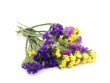 Statice flowers - Limonium Sinuatum