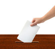 Hand with ballot and box
