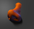 Biomechanik Nase 01
