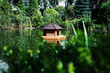 summer garden