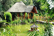 summer garden