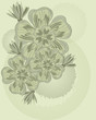 background with flowers