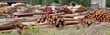 log timber trunks wooden industry stock log timber trunks wooden industry stock