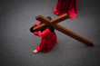 Nazareno carrying the Holy Cross in Holy Week. Valladolid