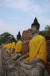 Buddha Statue in a row Buddha Statue in a row