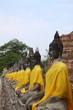 Buddha Statue in a row Buddha Statue in a row