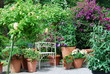 Sommerblumen Terrasse