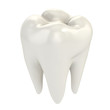 Illustration: isolated tooth 3d illustration isolated tooth 3d illustration