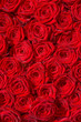 Rote Rosen, Symbol für Liebe, Edelrosen, Hochzeit
